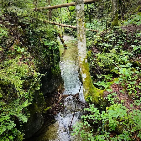Durkovec Centrum Feriehus *